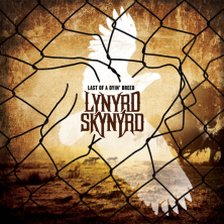 Lynyrd Skynyrd - Start Livin' Life Again ringtone