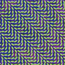 Animal Collective - Lion in a Coma ringtone