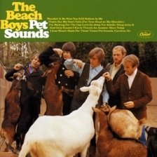 The Beach Boys - I Just Wasn’t Made for These Times ringtone